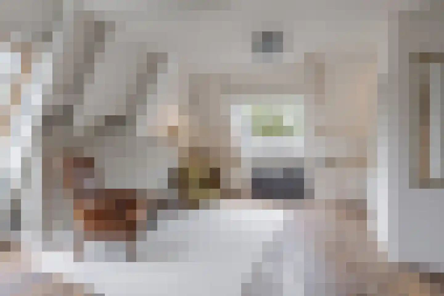 Greate Pierwei 15 Kimswerd thumbnail 43