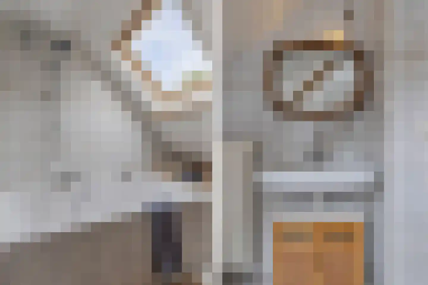 Greate Pierwei 15 Kimswerd thumbnail 45
