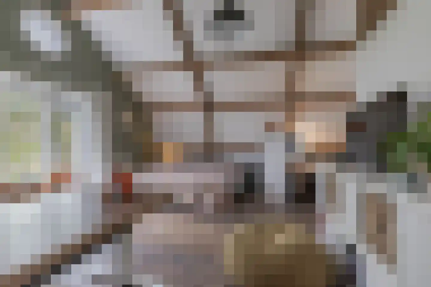 Greate Pierwei 15 Kimswerd thumbnail 46