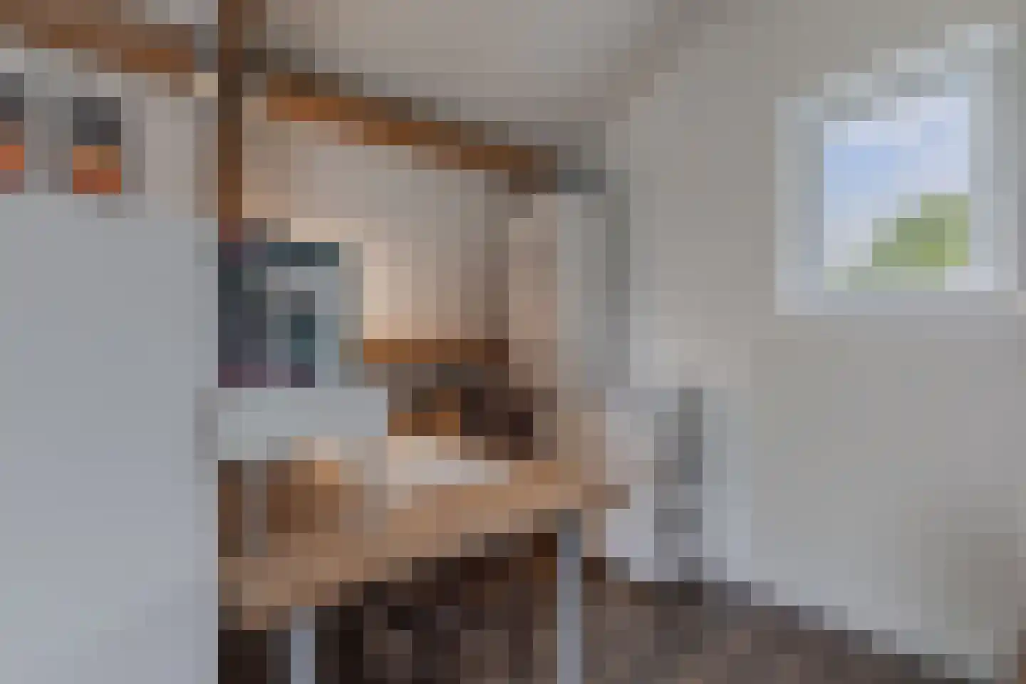 Greate Pierwei 15 Kimswerd thumbnail 47