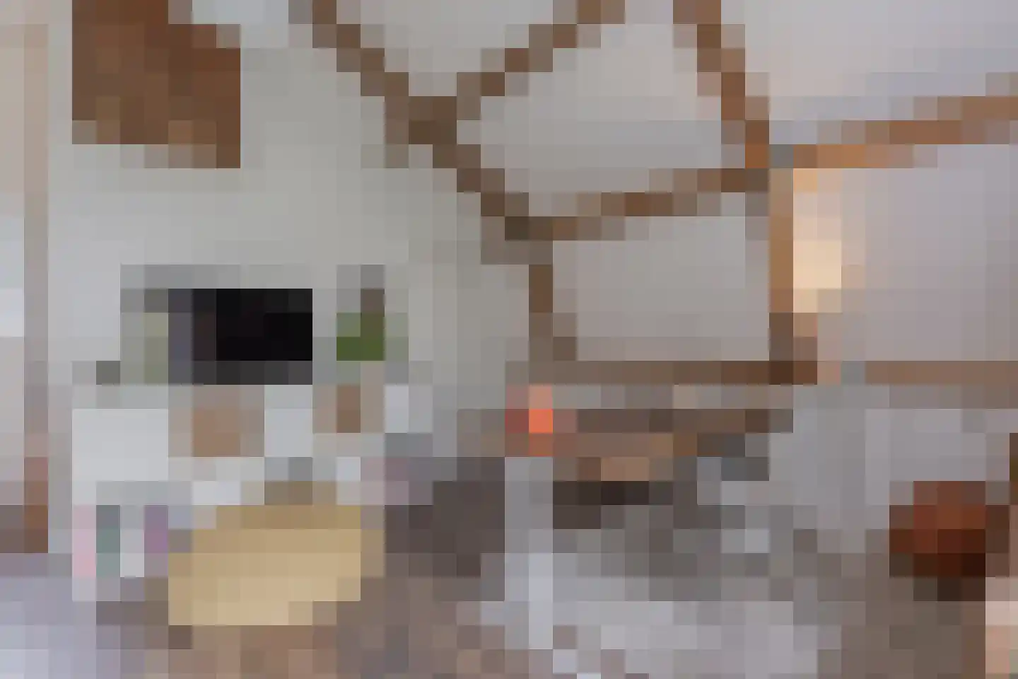 Greate Pierwei 15 Kimswerd thumbnail 48