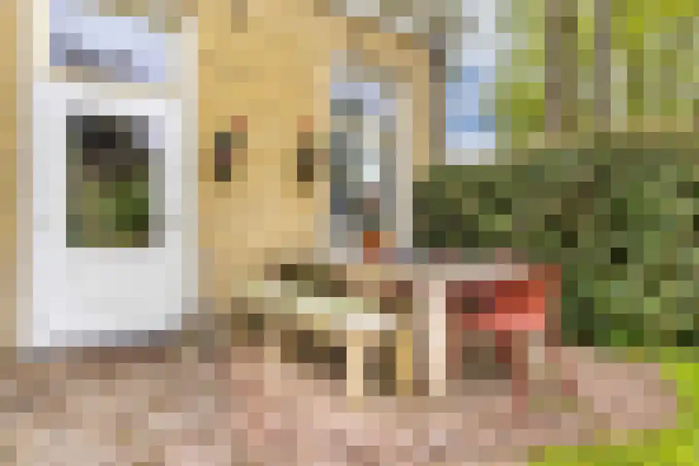Greate Pierwei 15 Kimswerd thumbnail 52