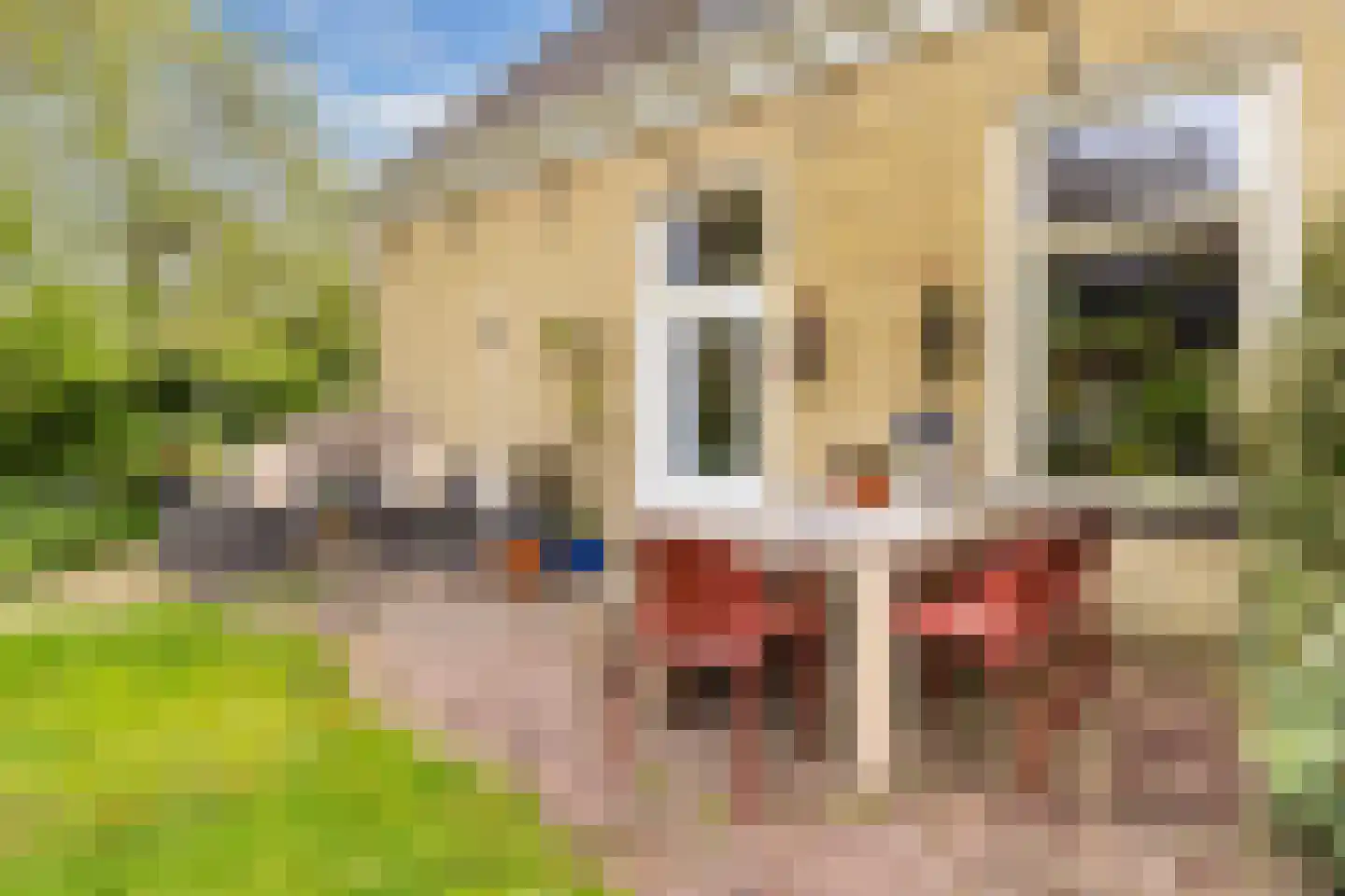 Greate Pierwei 15 Kimswerd thumbnail 53