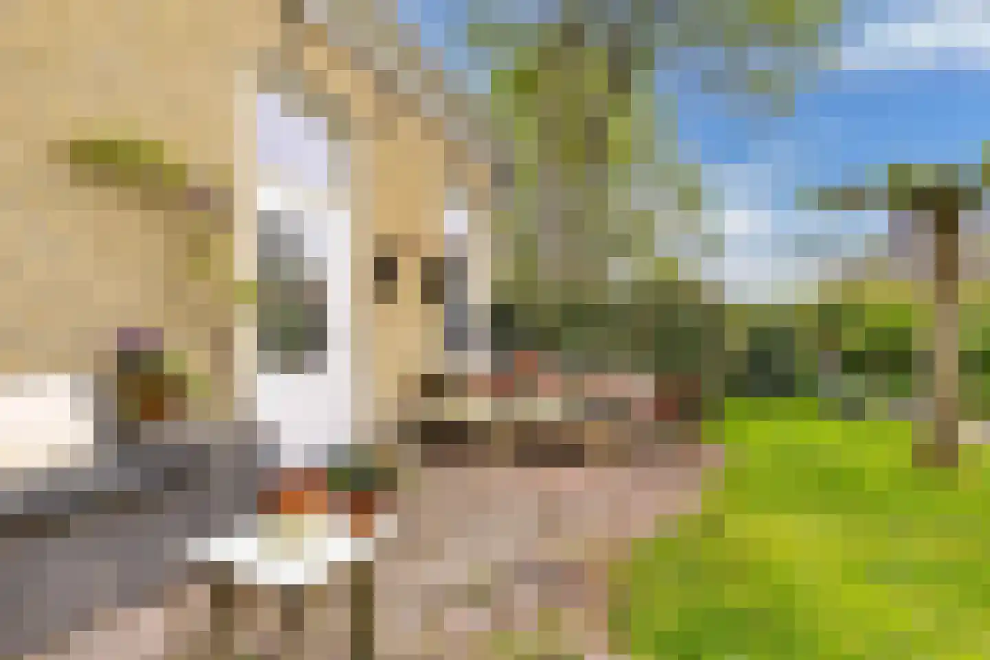 Greate Pierwei 15 Kimswerd thumbnail 55