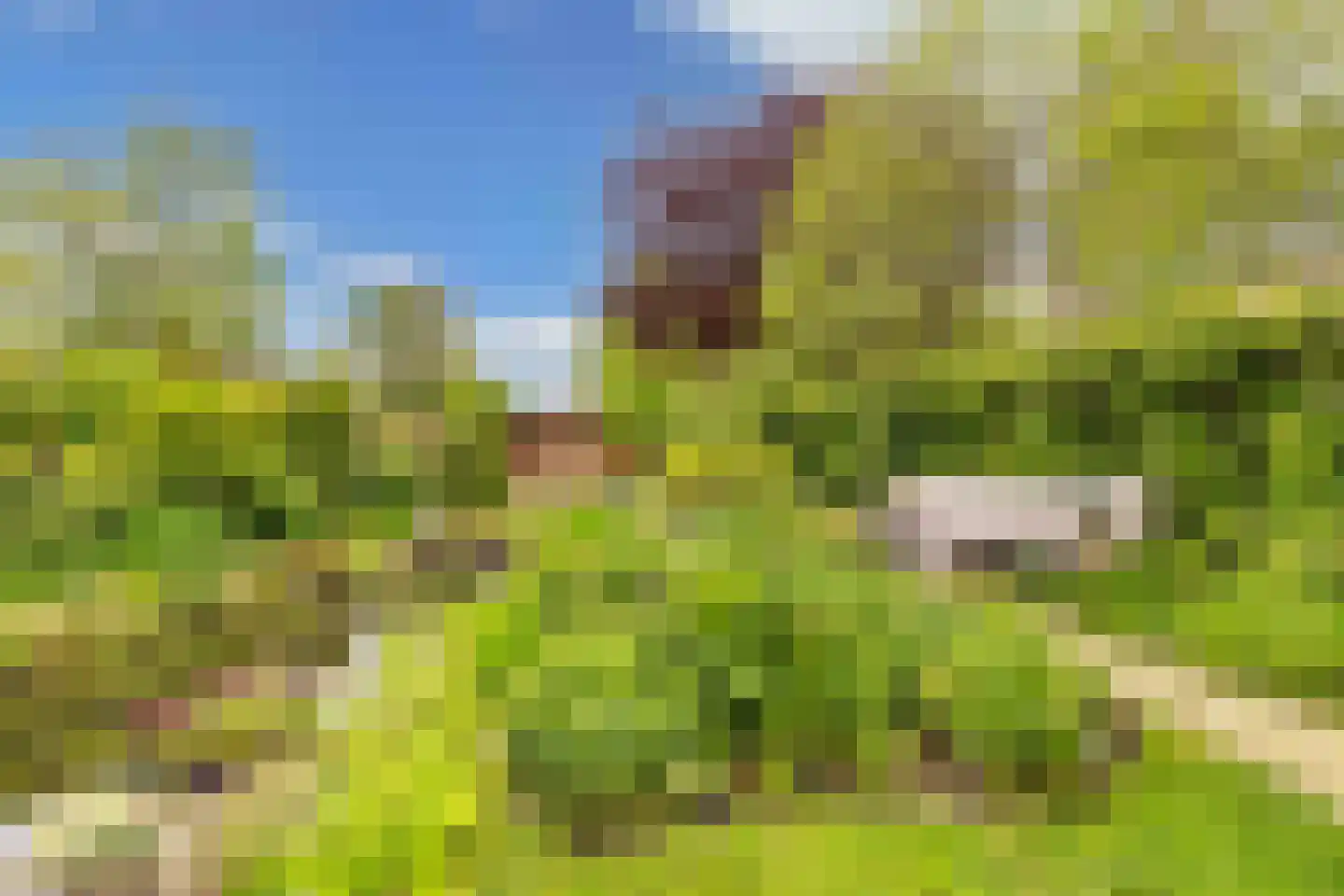 Greate Pierwei 15 Kimswerd thumbnail 57