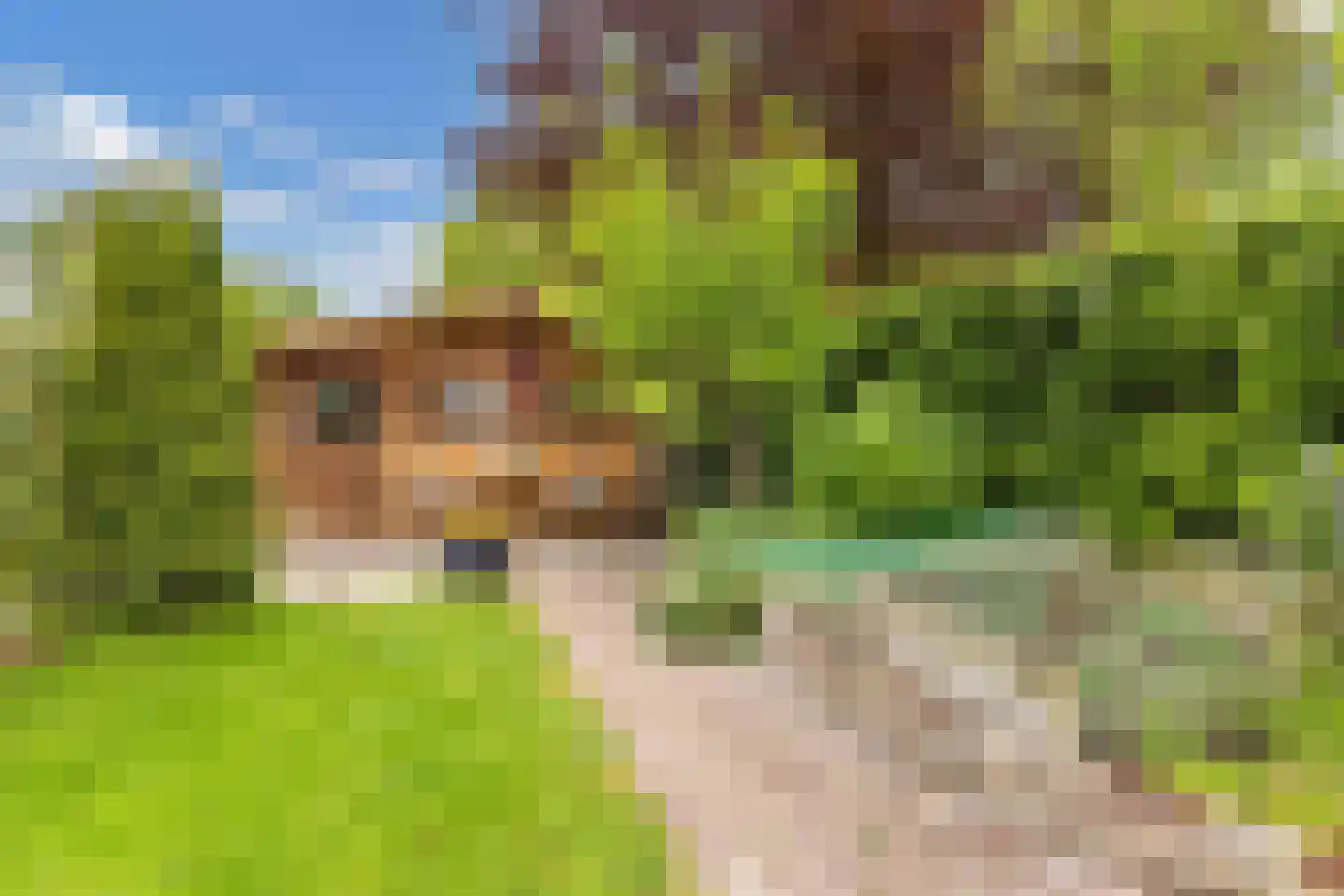 Greate Pierwei 15 Kimswerd thumbnail 58