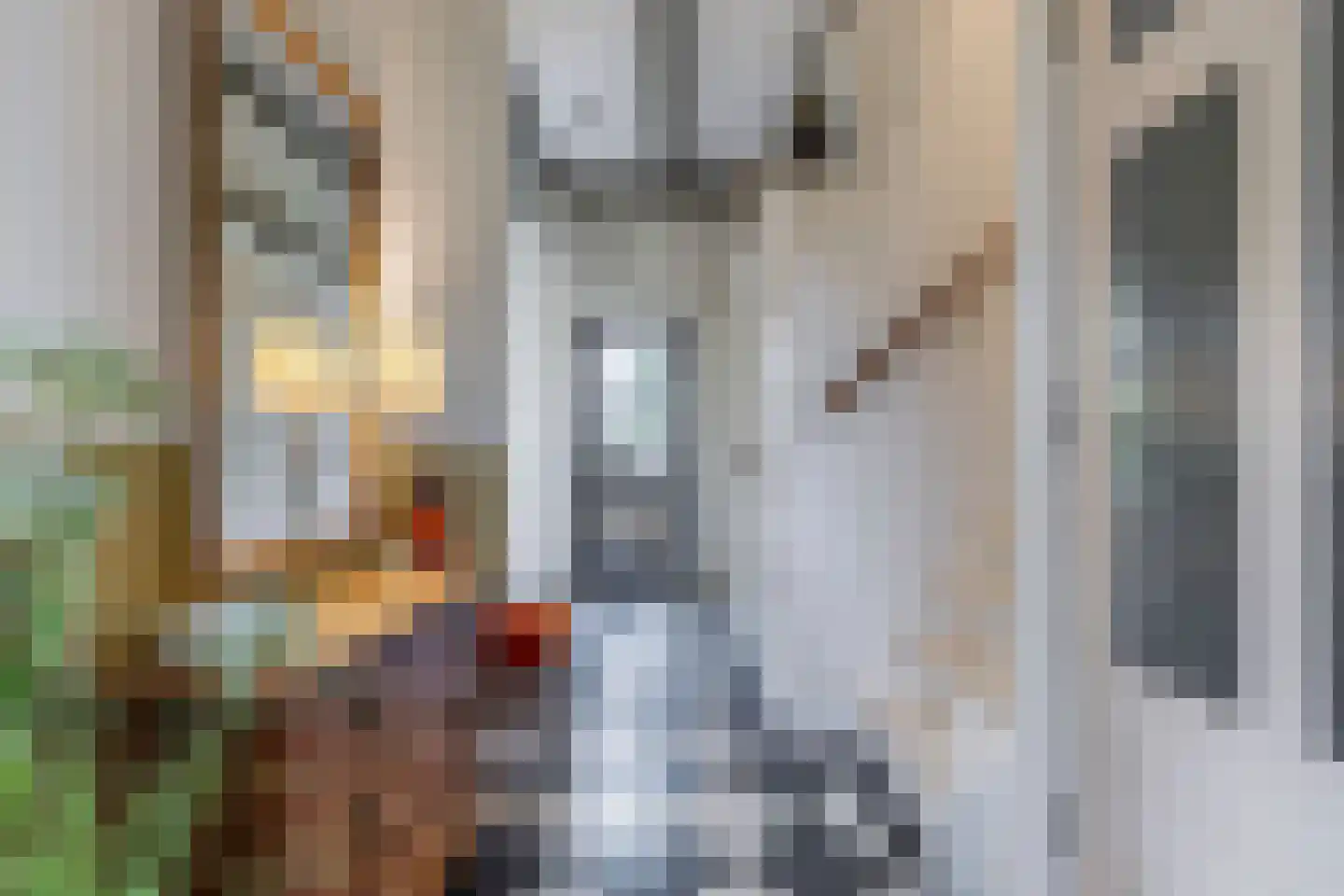 Greate Pierwei 15 Kimswerd thumbnail 6