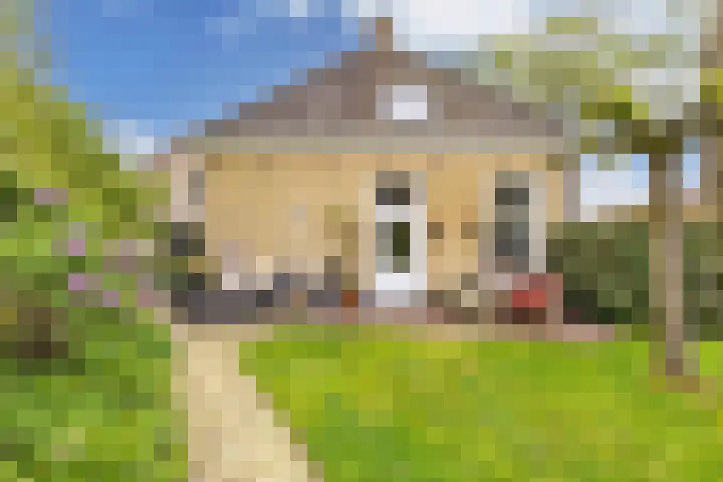 Greate Pierwei 15 Kimswerd thumbnail 61