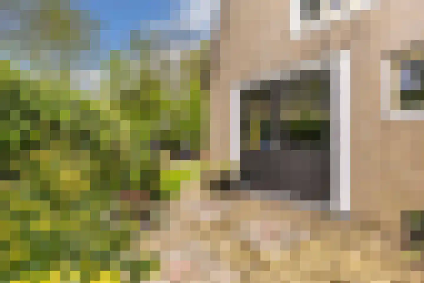 Greate Pierwei 15 Kimswerd thumbnail 62