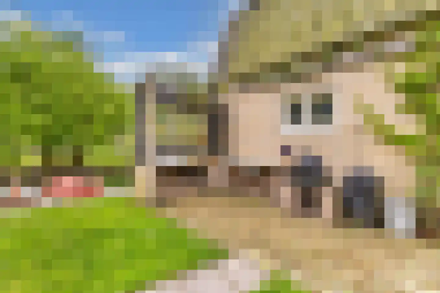 Greate Pierwei 15 Kimswerd thumbnail 65