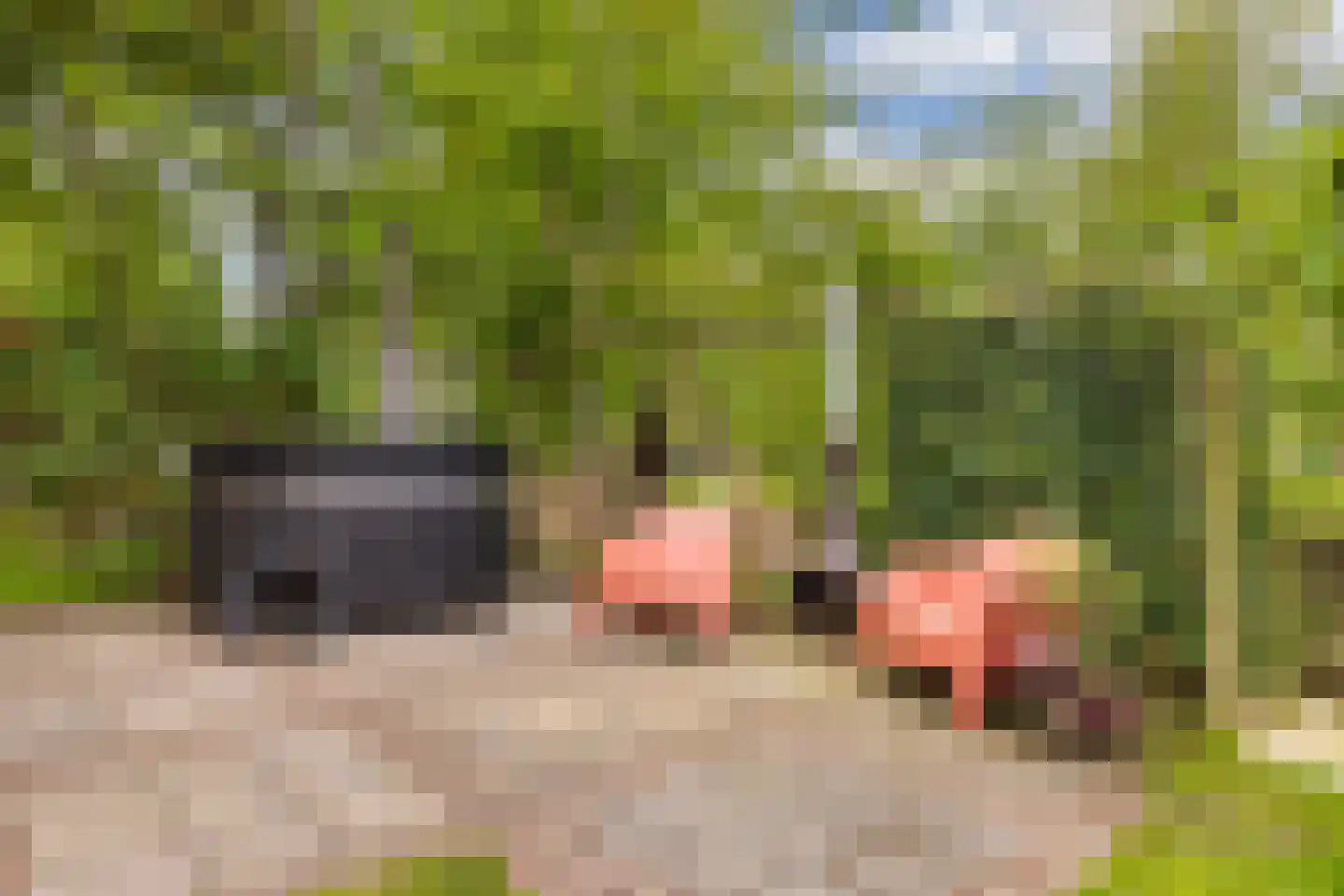 Greate Pierwei 15 Kimswerd thumbnail 68