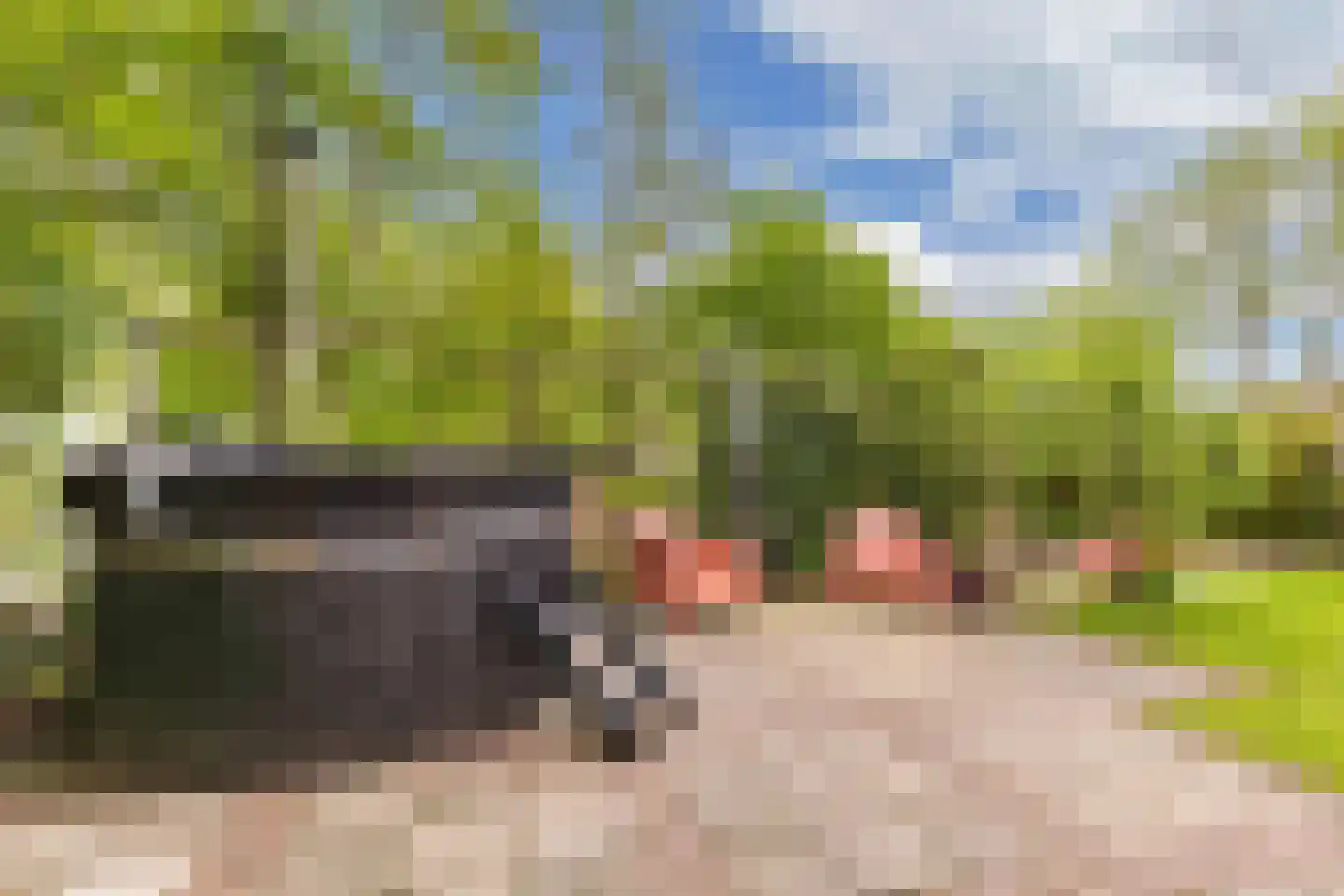 Greate Pierwei 15 Kimswerd thumbnail 69