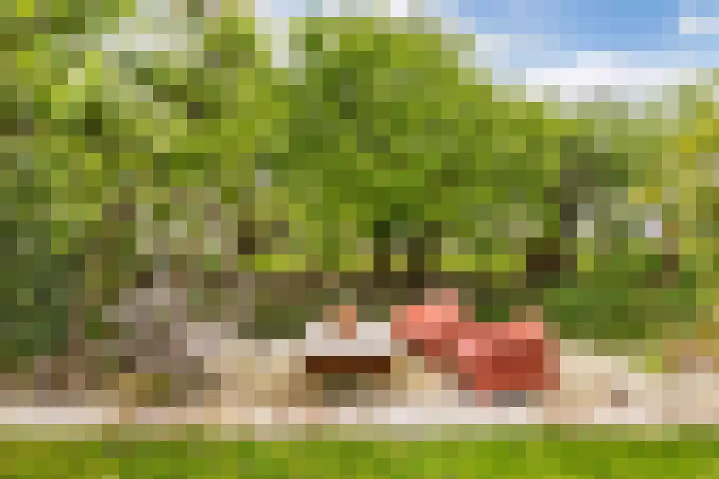 Greate Pierwei 15 Kimswerd thumbnail 71