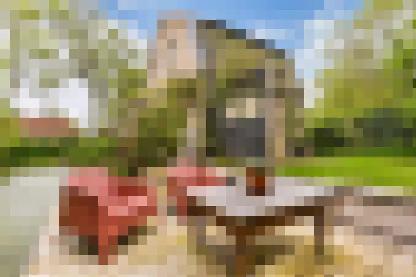Greate Pierwei 15 Kimswerd thumbnail 72