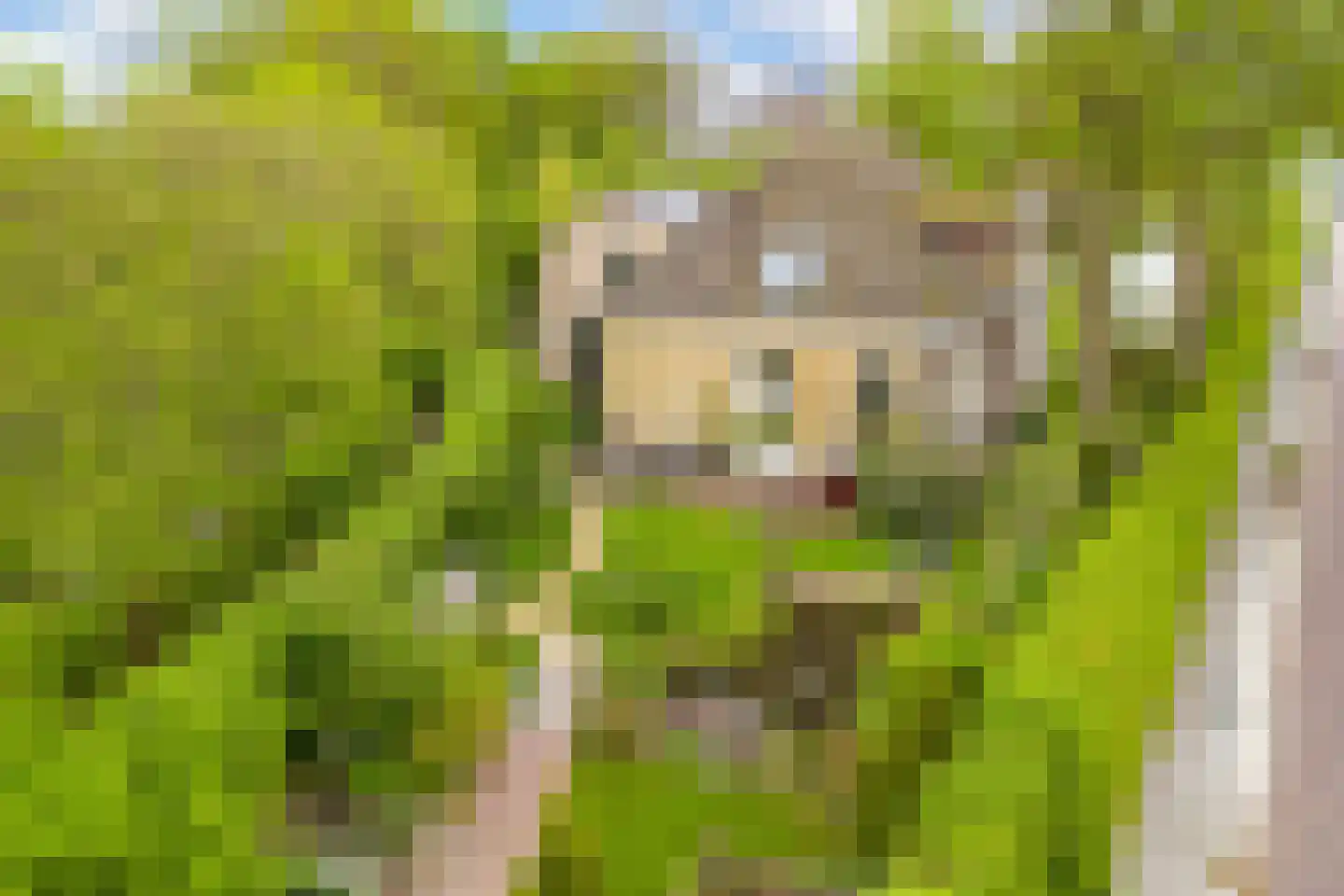 Greate Pierwei 15 Kimswerd thumbnail 73