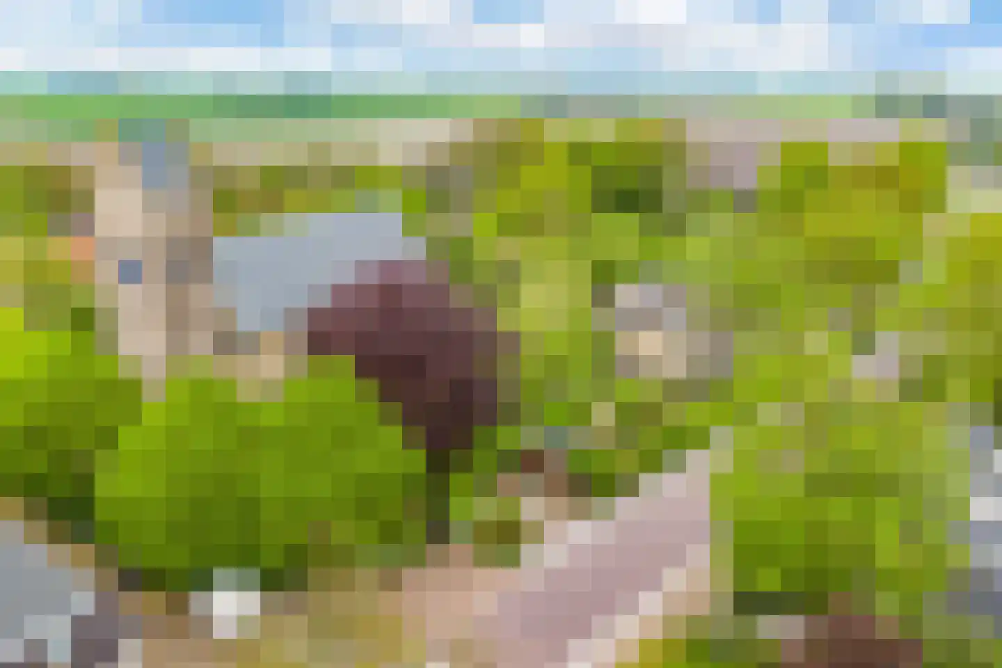 Greate Pierwei 15 Kimswerd thumbnail 74