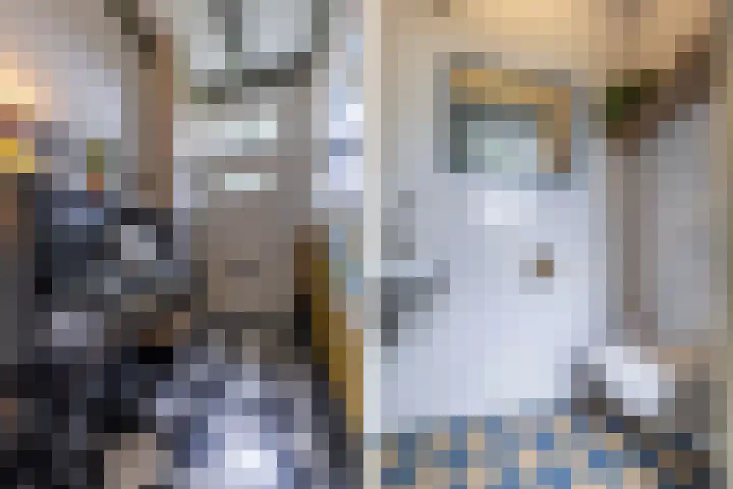 Greate Pierwei 15 Kimswerd thumbnail 9