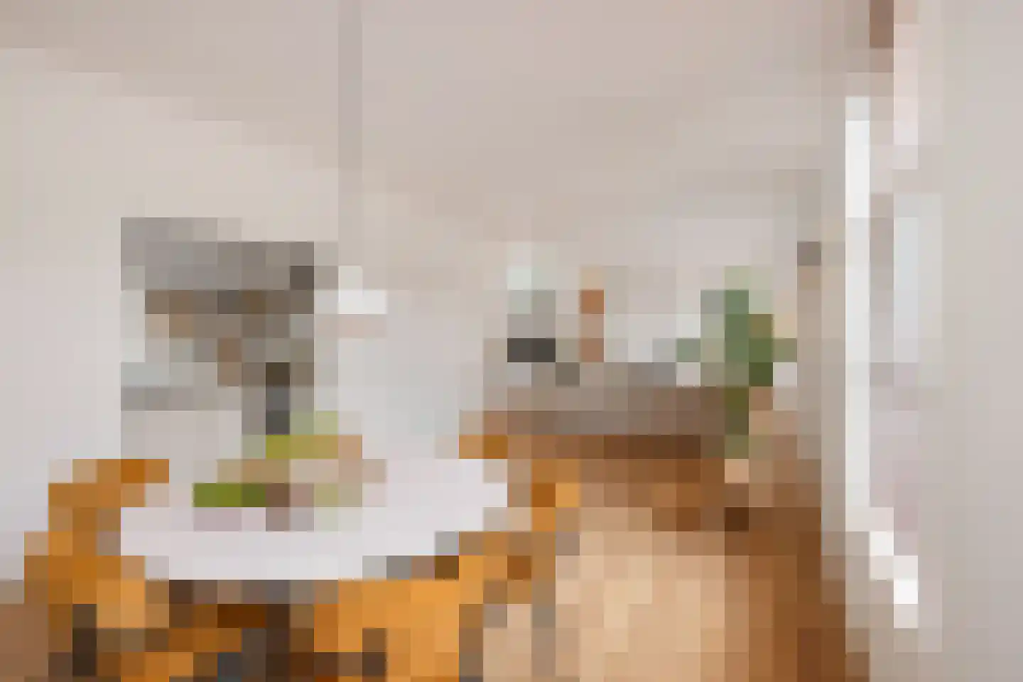 Greate Pierwei 4 Kimswerd thumbnail 15