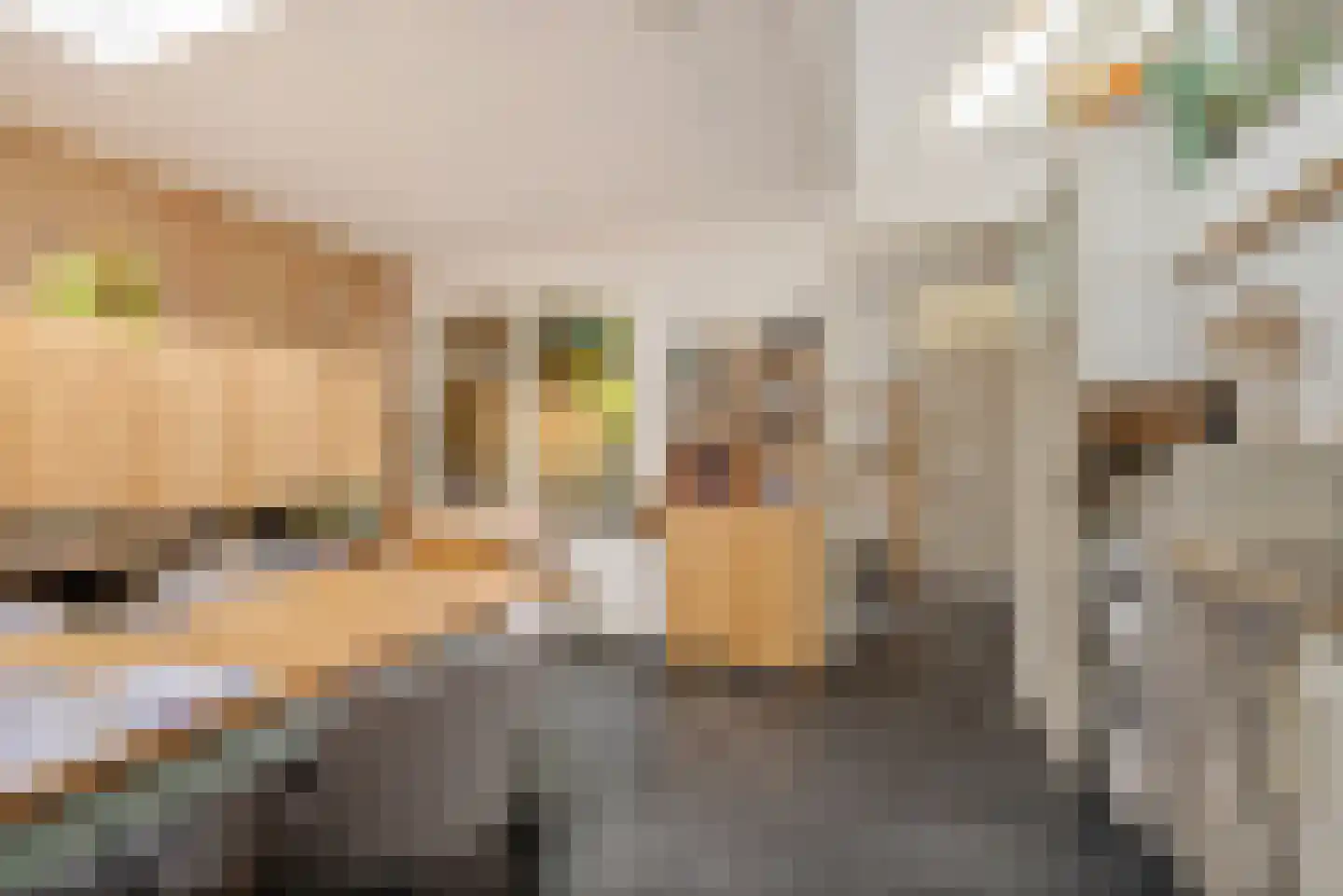 Greate Pierwei 4 Kimswerd thumbnail 22