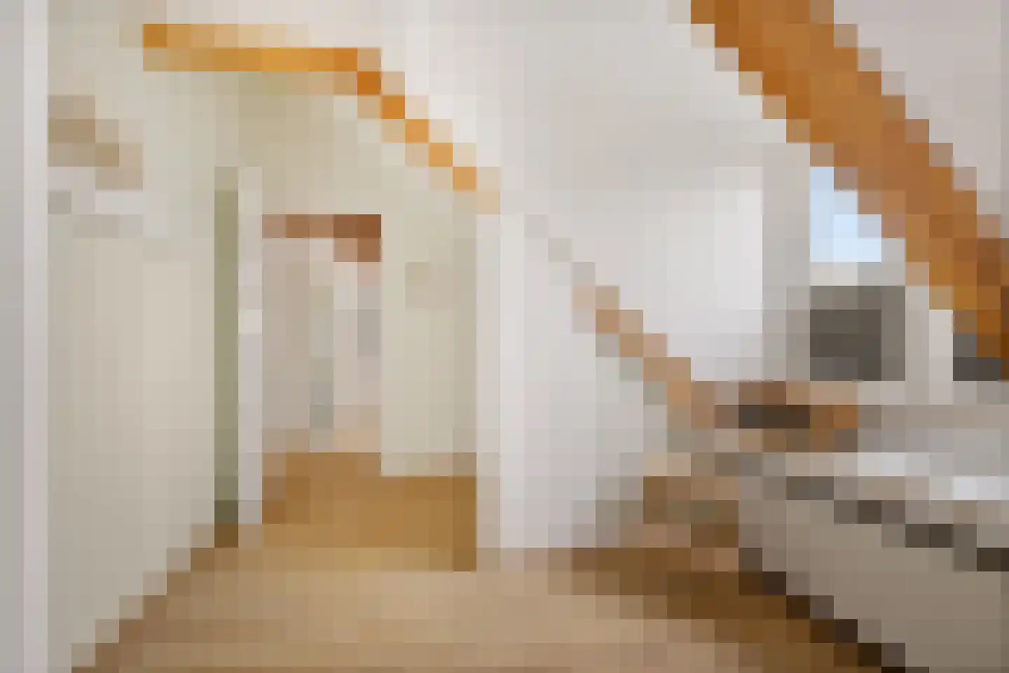 Greate Pierwei 4 Kimswerd thumbnail 37