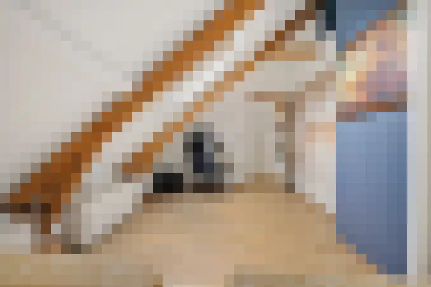Greate Pierwei 4 Kimswerd thumbnail 40