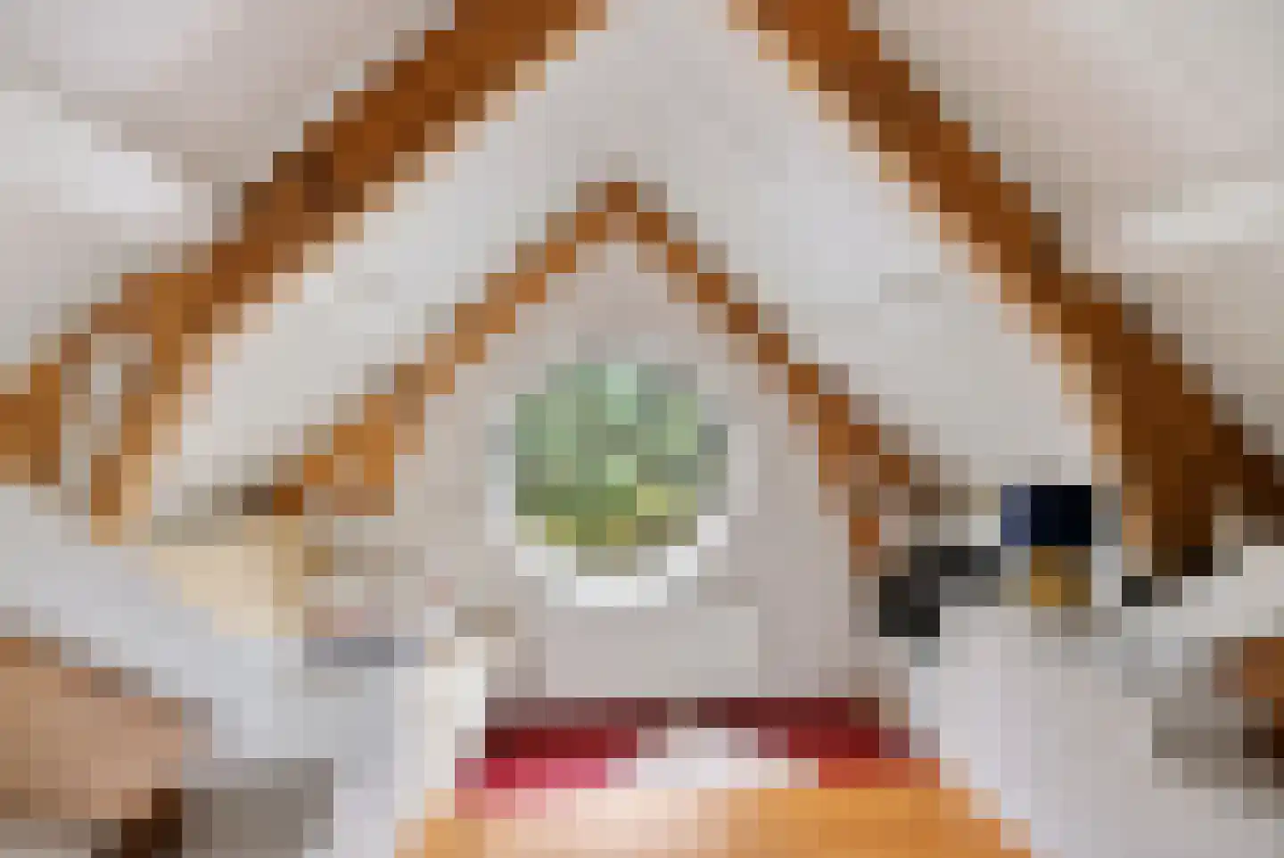 Greate Pierwei 4 Kimswerd thumbnail 41