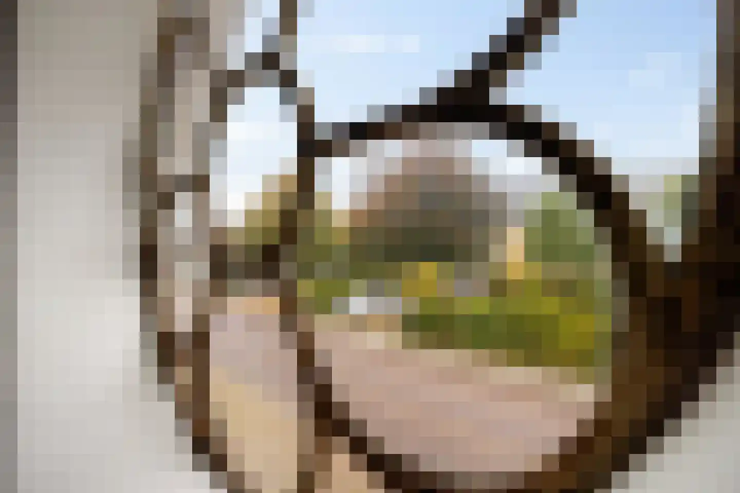Greate Pierwei 4 Kimswerd thumbnail 42