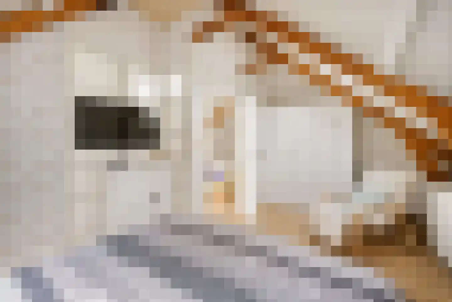 Greate Pierwei 4 Kimswerd thumbnail 45
