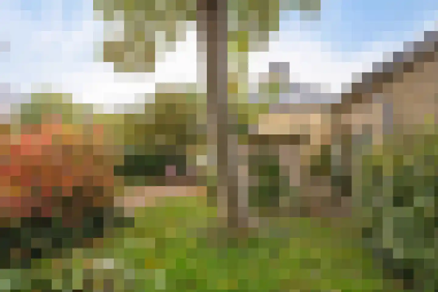 Greate Pierwei 4 Kimswerd thumbnail 51