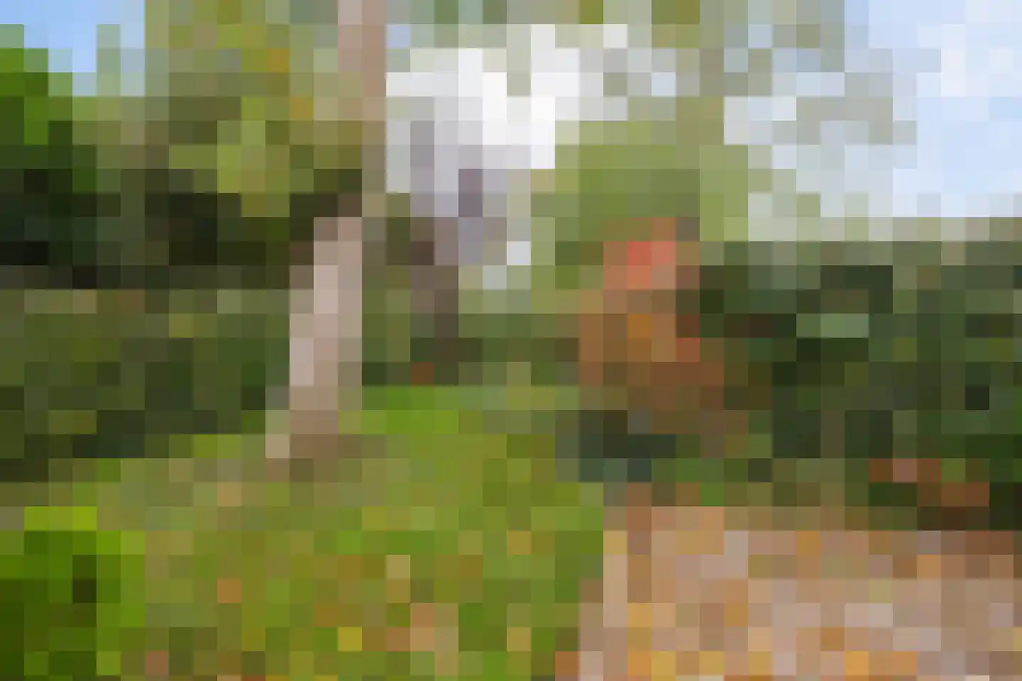 Greate Pierwei 4 Kimswerd thumbnail 52