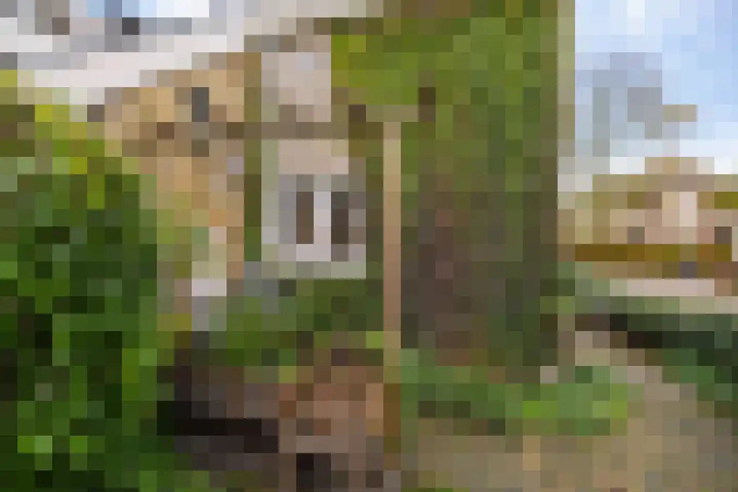 Greate Pierwei 4 Kimswerd thumbnail 55