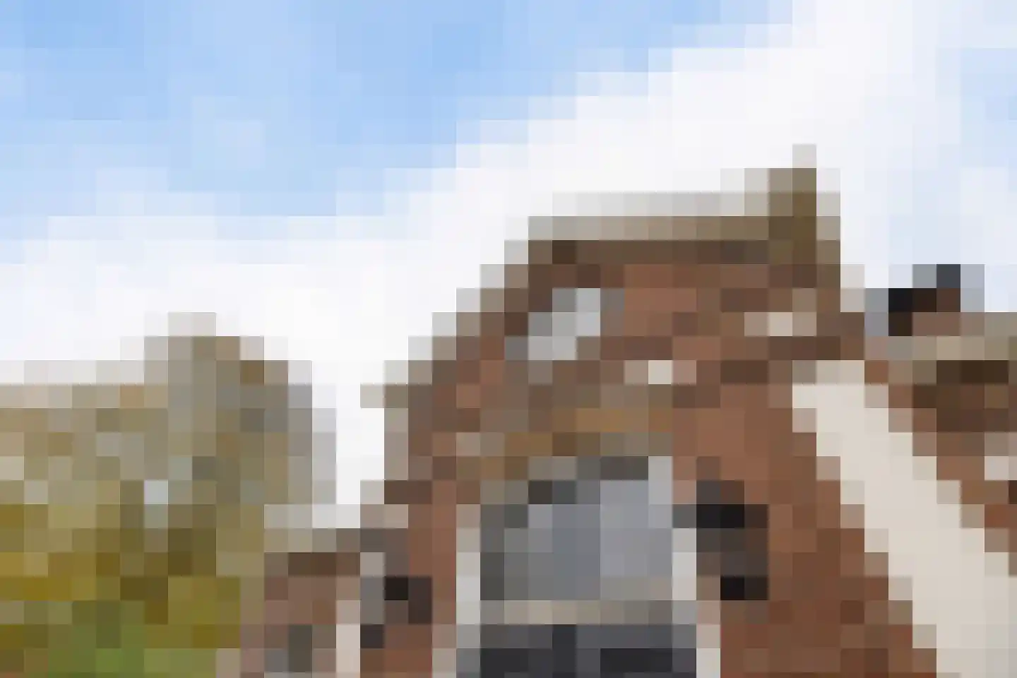 Greate Pierwei 4 Kimswerd thumbnail 58