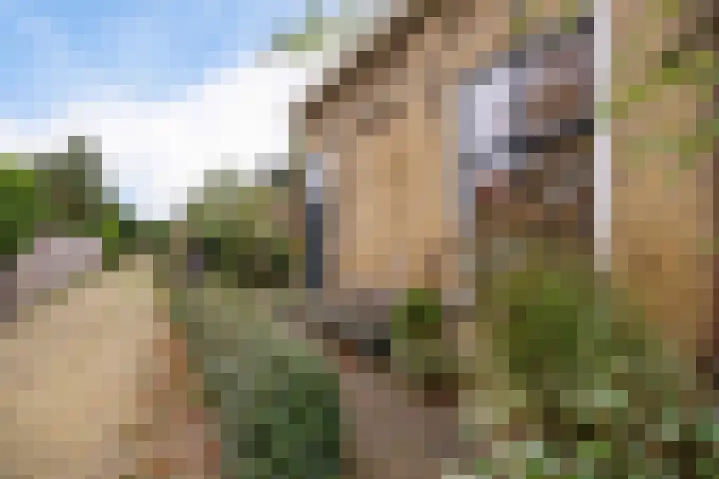 Greate Pierwei 4 Kimswerd thumbnail 59