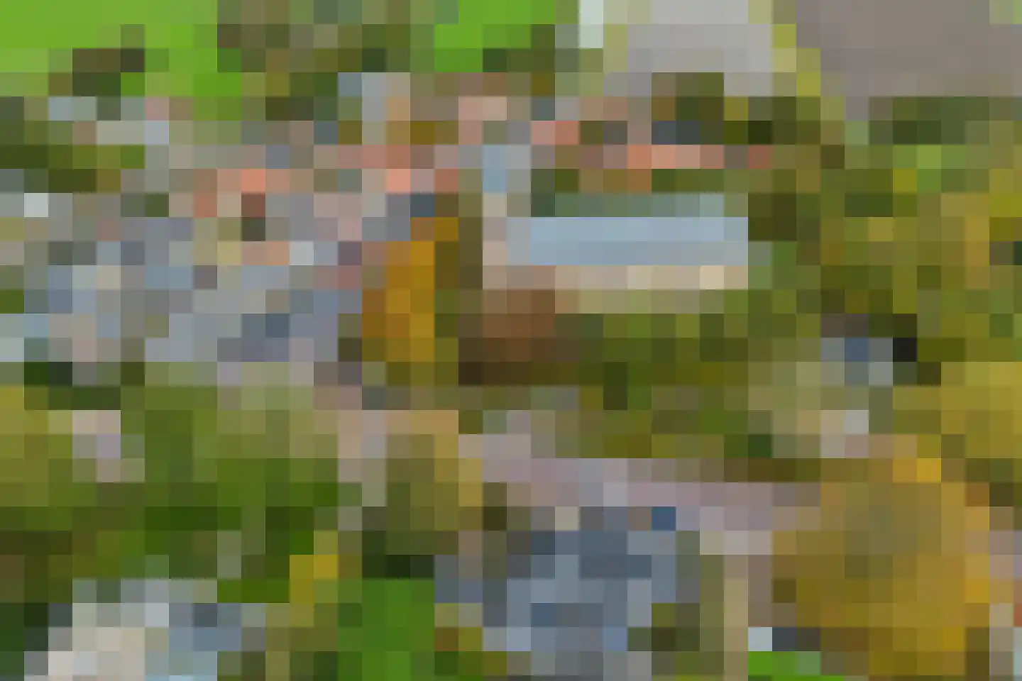 Greate Pierwei 4 Kimswerd thumbnail 66