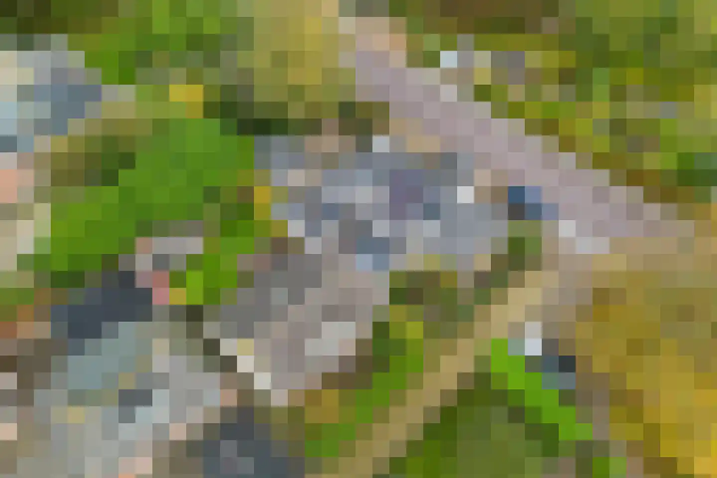 Greate Pierwei 4 Kimswerd thumbnail 67