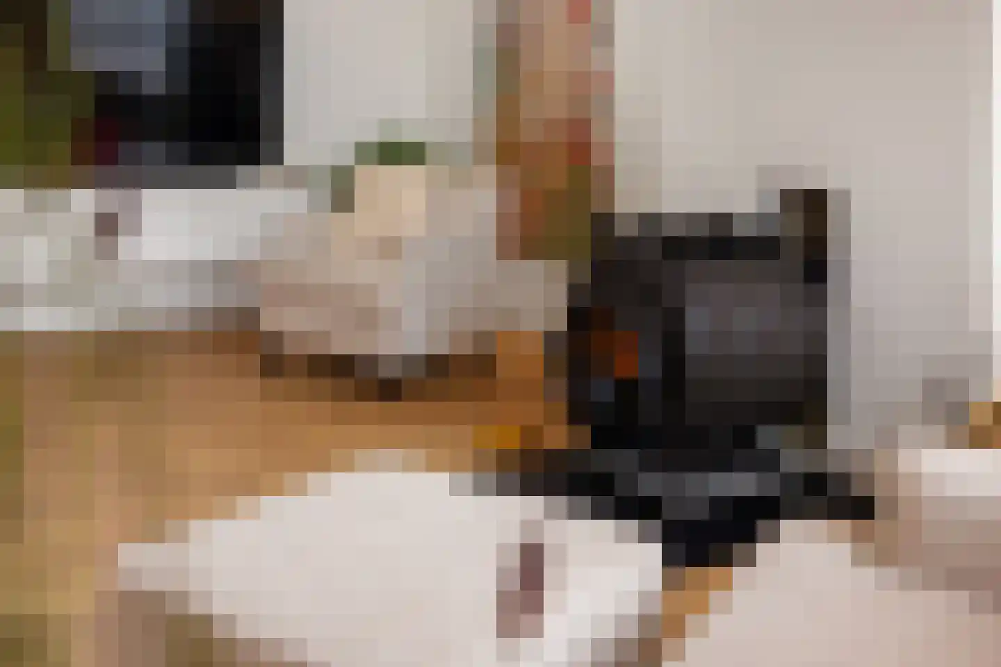 Greate Pierwei 4 Kimswerd thumbnail 9