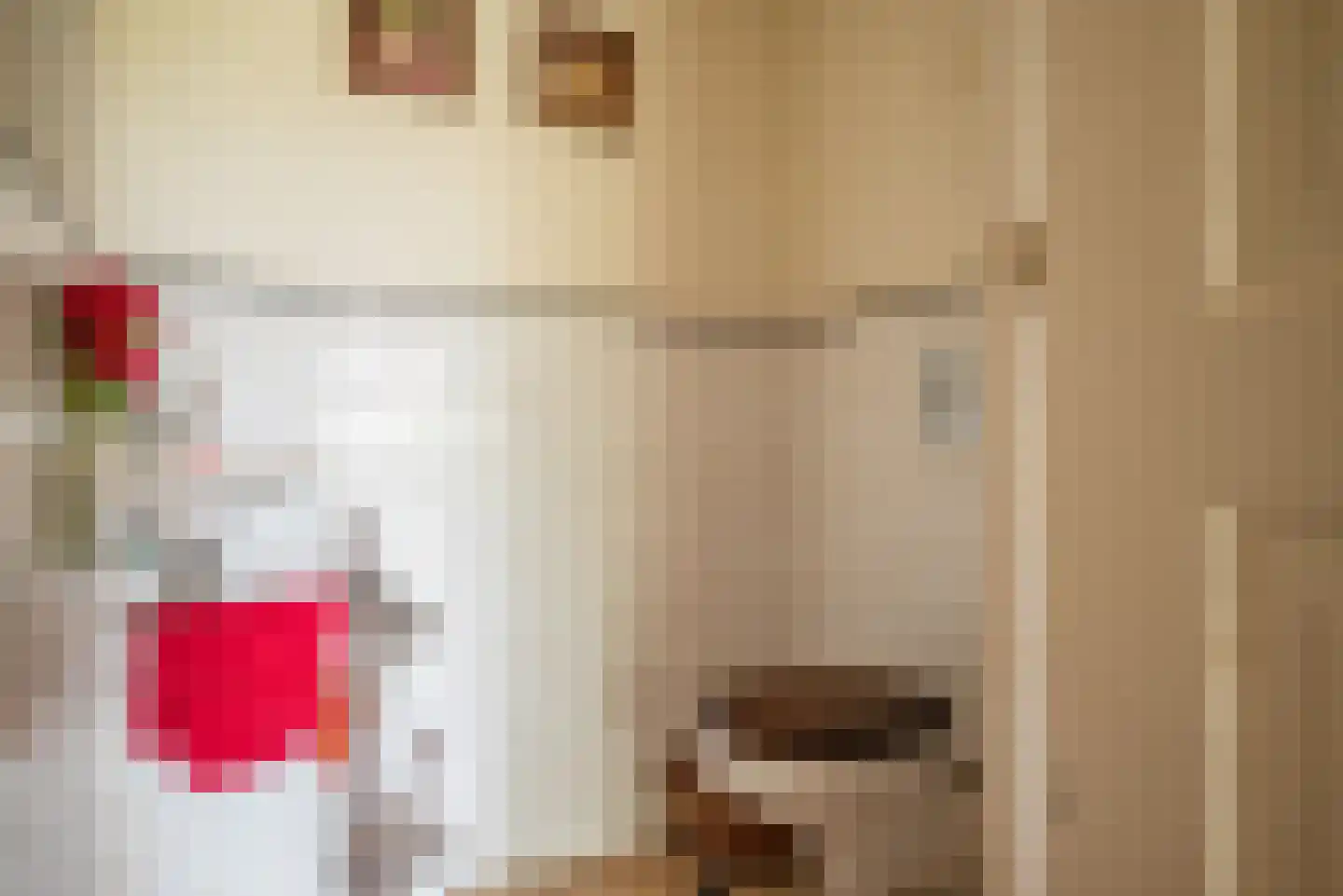 Greate Súdein 33 Uitwellingerga thumbnail 18