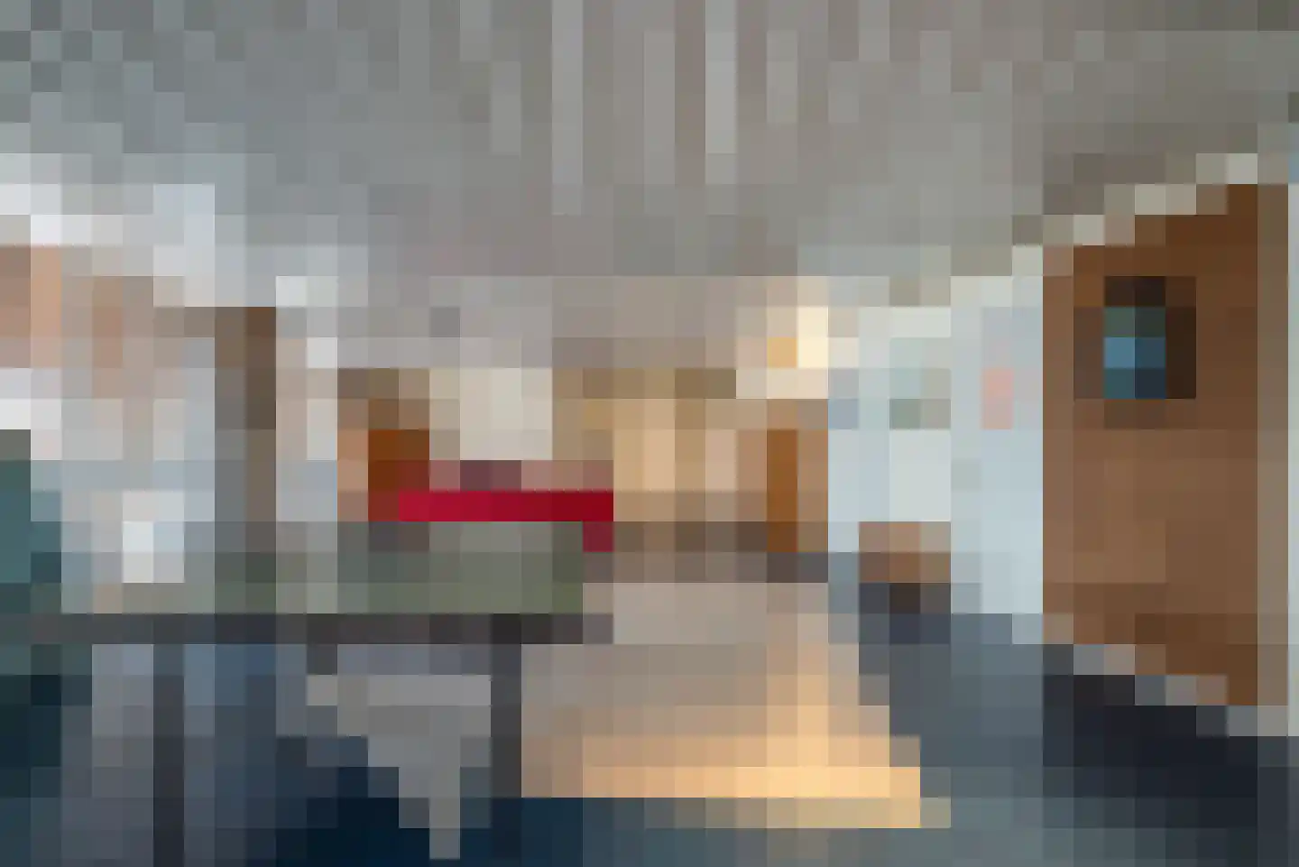 Greate Súdein 33 Uitwellingerga thumbnail 34