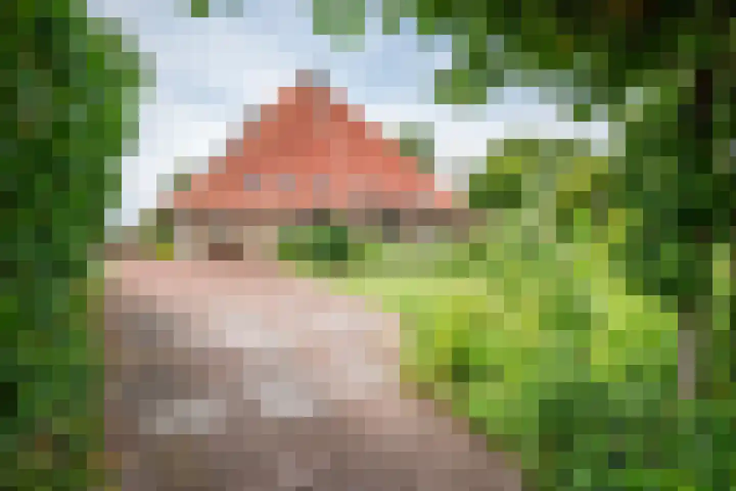 Greate Súdein 33 Uitwellingerga thumbnail 4
