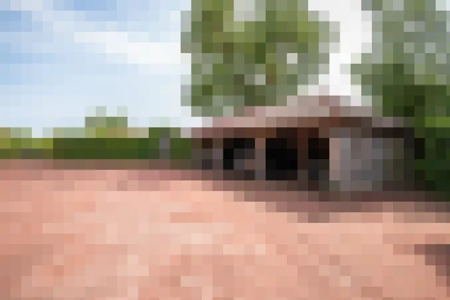 Greate Súdein 33 Uitwellingerga thumbnail 52