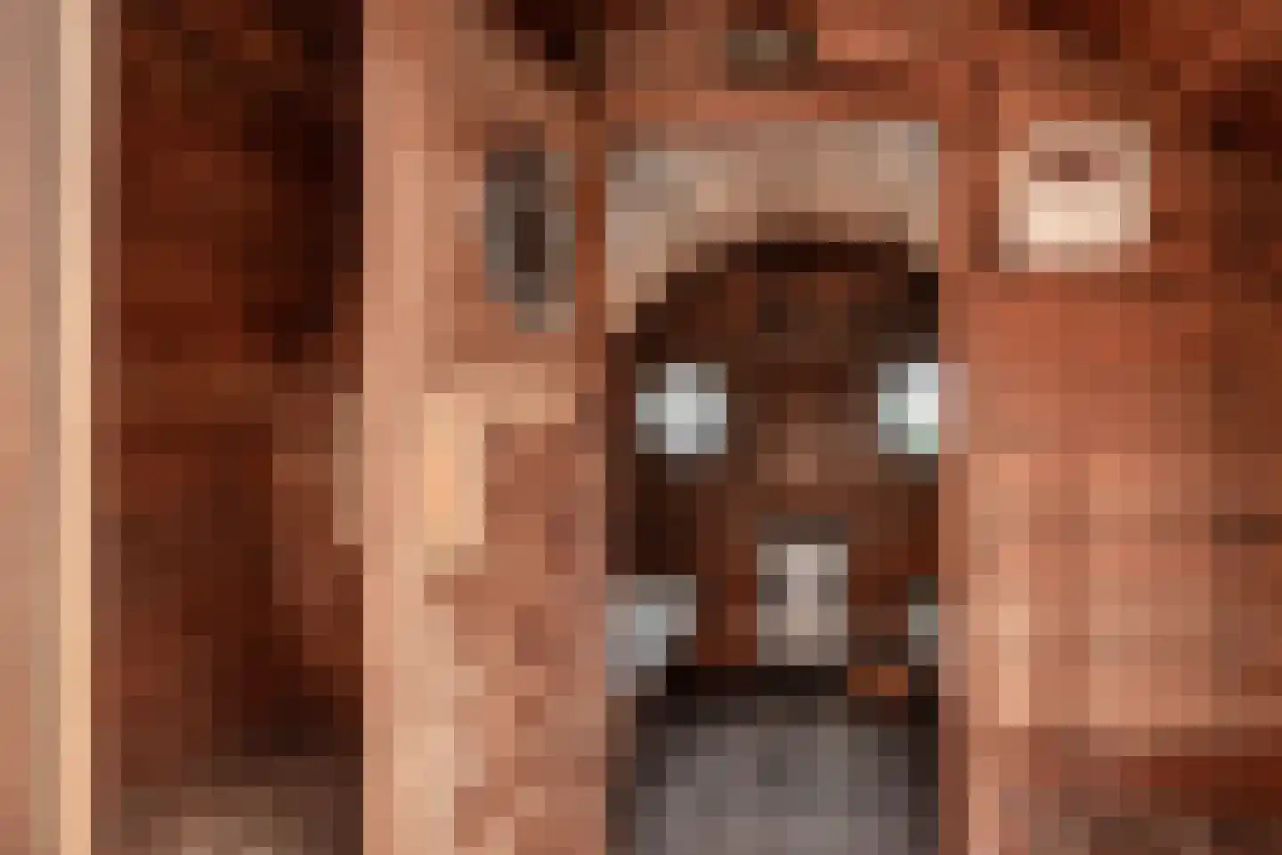 Greate Súdein 33 Uitwellingerga thumbnail 60