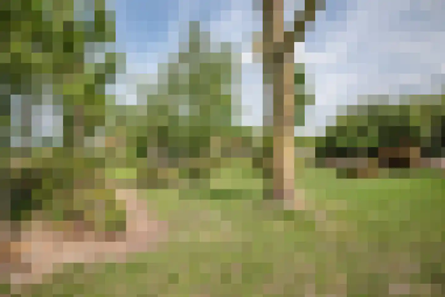 Greate Súdein 33 Uitwellingerga thumbnail 62