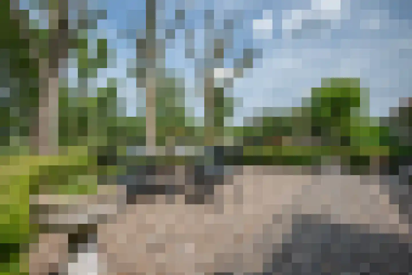 Greate Súdein 33 Uitwellingerga thumbnail 63