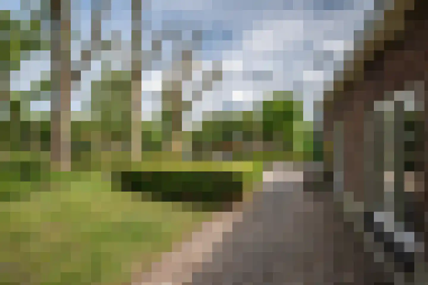 Greate Súdein 33 Uitwellingerga thumbnail 65