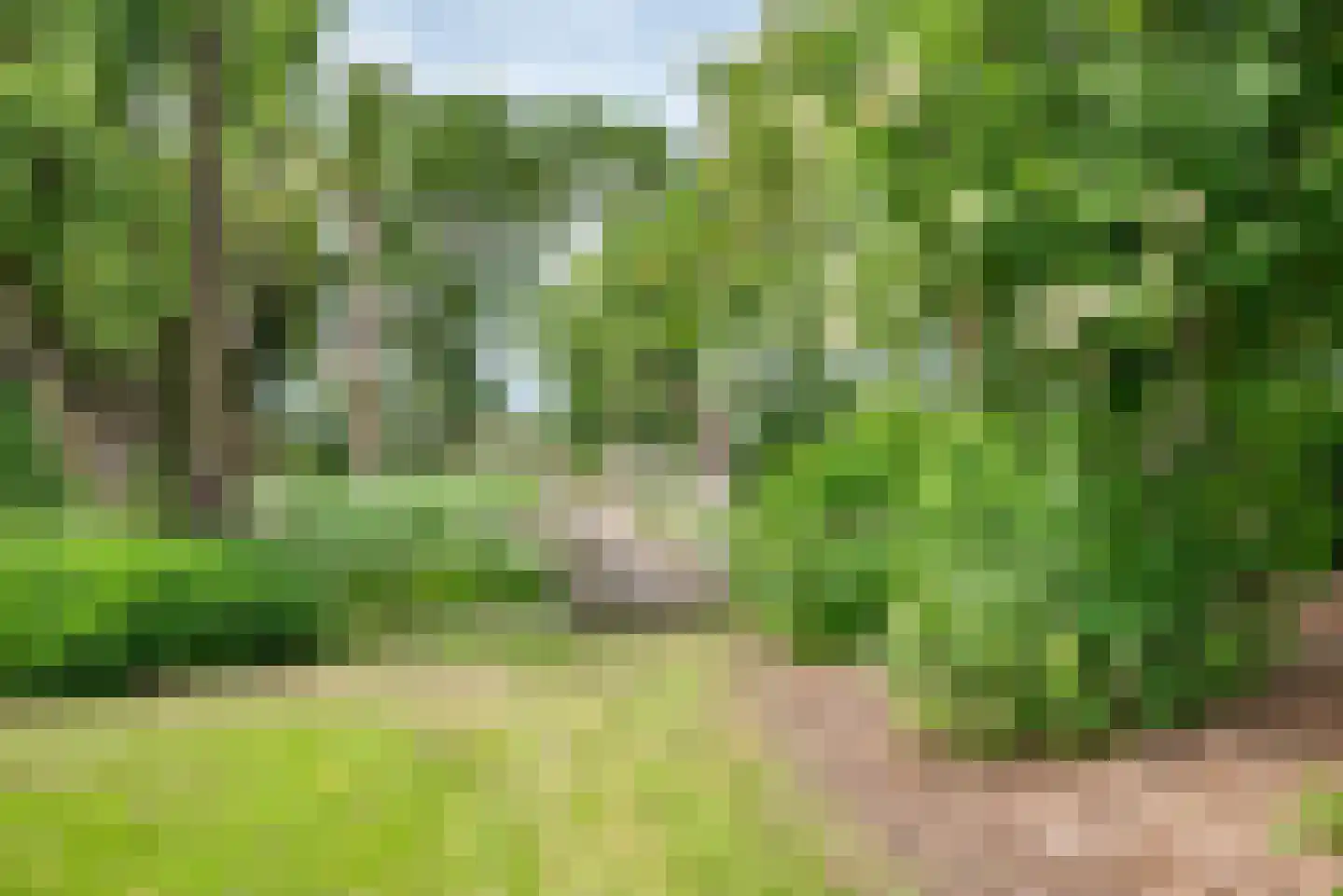 Greate Súdein 33 Uitwellingerga thumbnail 66