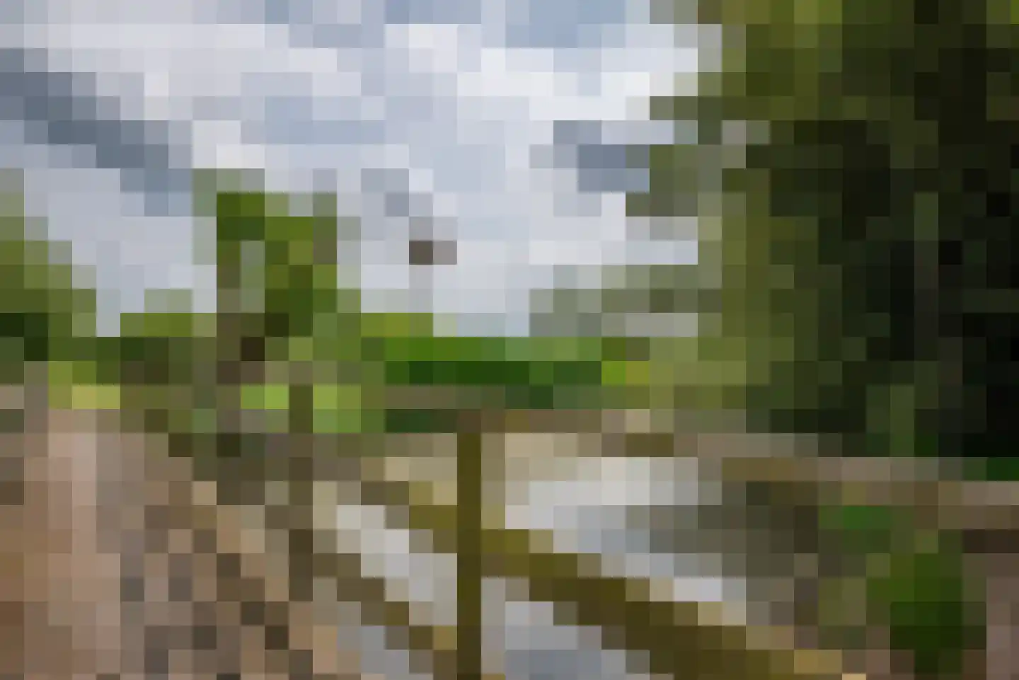 Greate Súdein 33 Uitwellingerga thumbnail 67