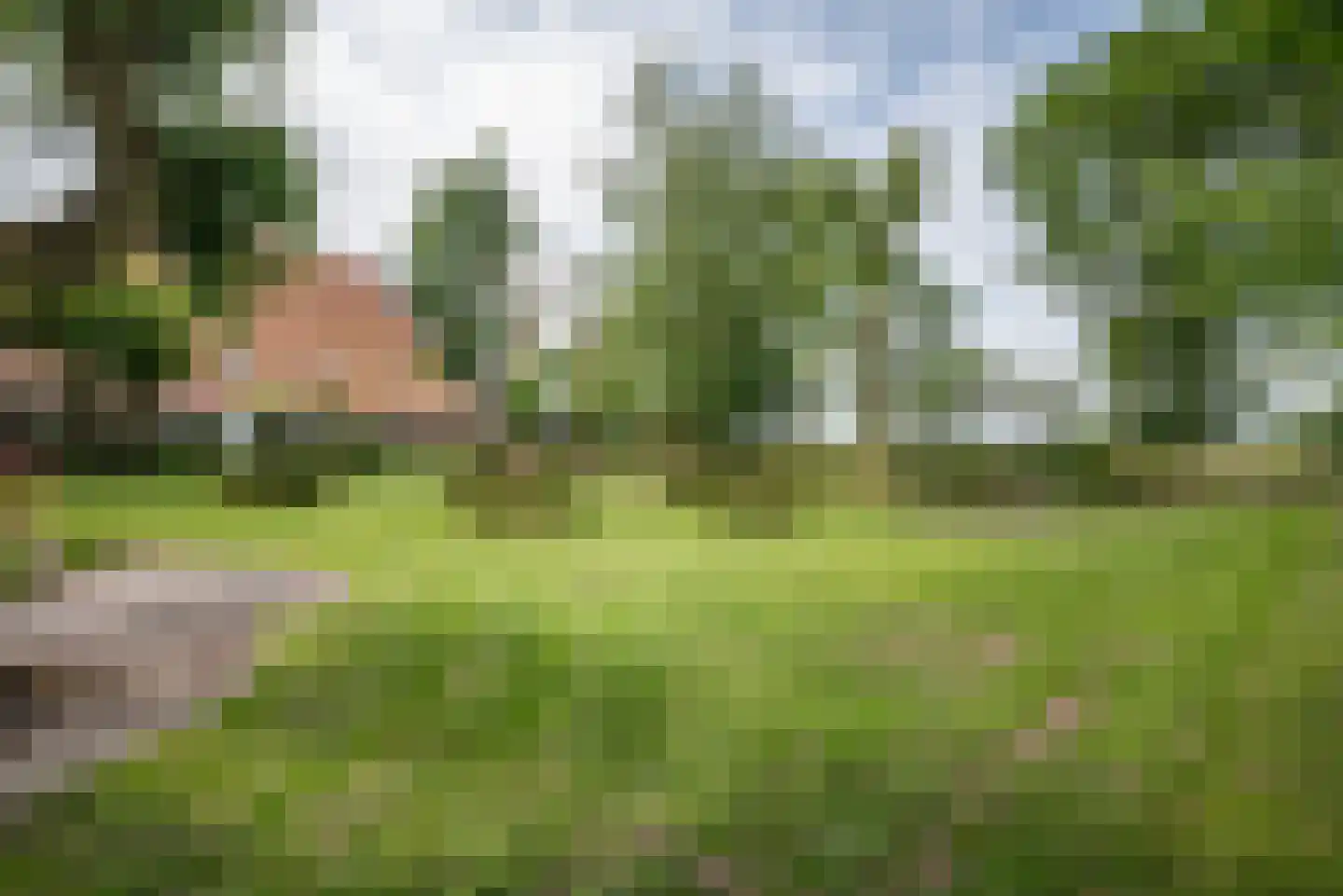 Greate Súdein 33 Uitwellingerga thumbnail 68