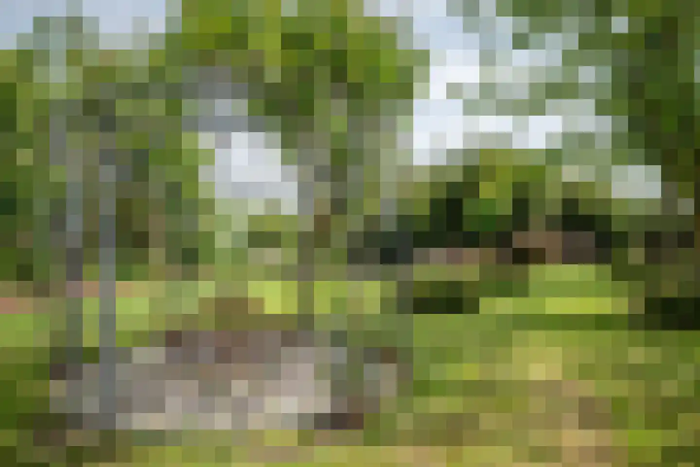 Greate Súdein 33 Uitwellingerga thumbnail 69