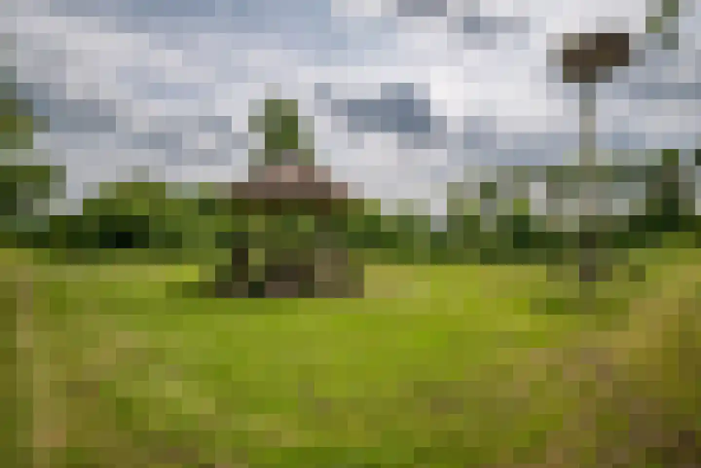 Greate Súdein 33 Uitwellingerga thumbnail 71