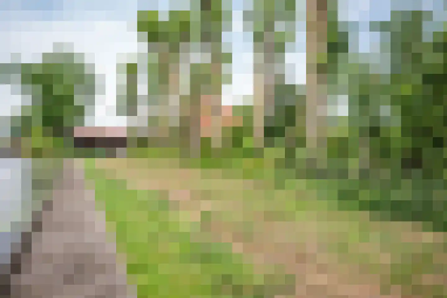 Greate Súdein 33 Uitwellingerga thumbnail 73